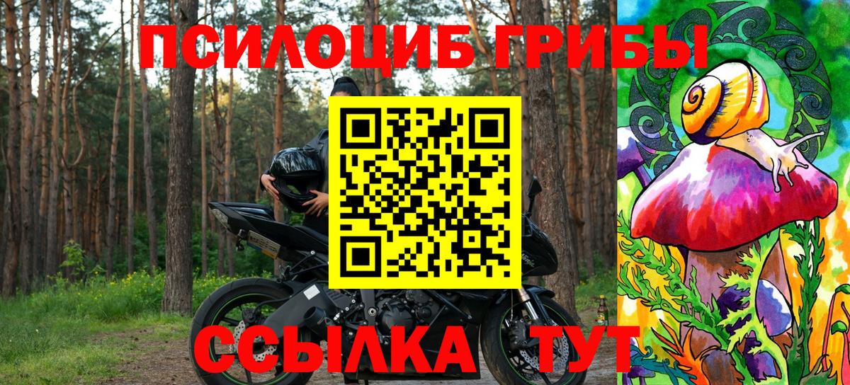 Псилоцибиновые грибы GOLDEN TEACHER Вятские Поляны
